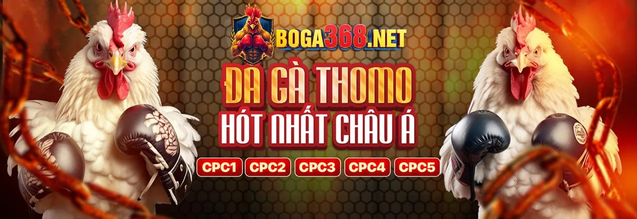Blog happy66 win: Nơi Chia Sẻ Kiến Thức & Giải Trí Bất Tận