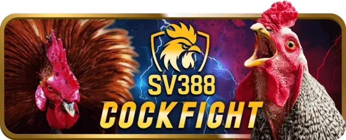 Mẹo Chơi Đá Gà Happy66 Win